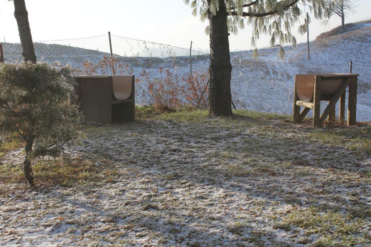 Holiday Home Winzerhaus Eva Spicnik Buitenkant foto